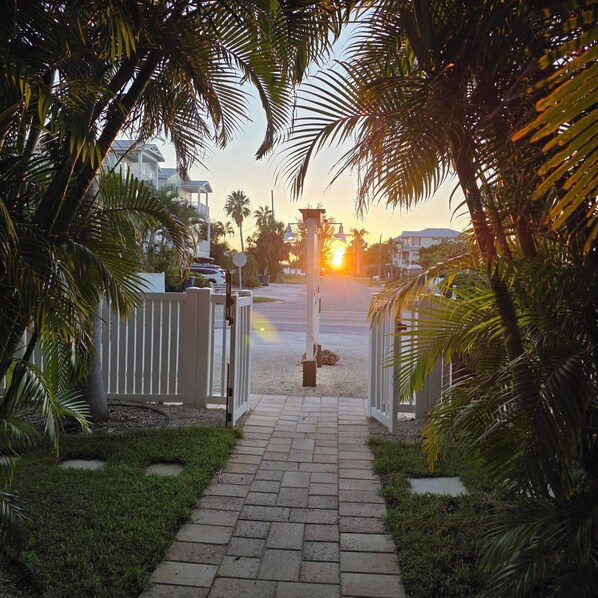 A paved pathway leading to a gated entrance with palm trees on either side.