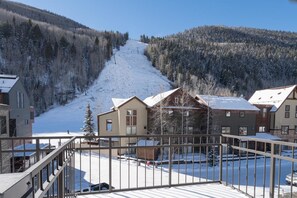 House, Multiple Beds (Cimarron Lodge 31) | Balcony view - Cimarron Lodge 31 (Telluride)