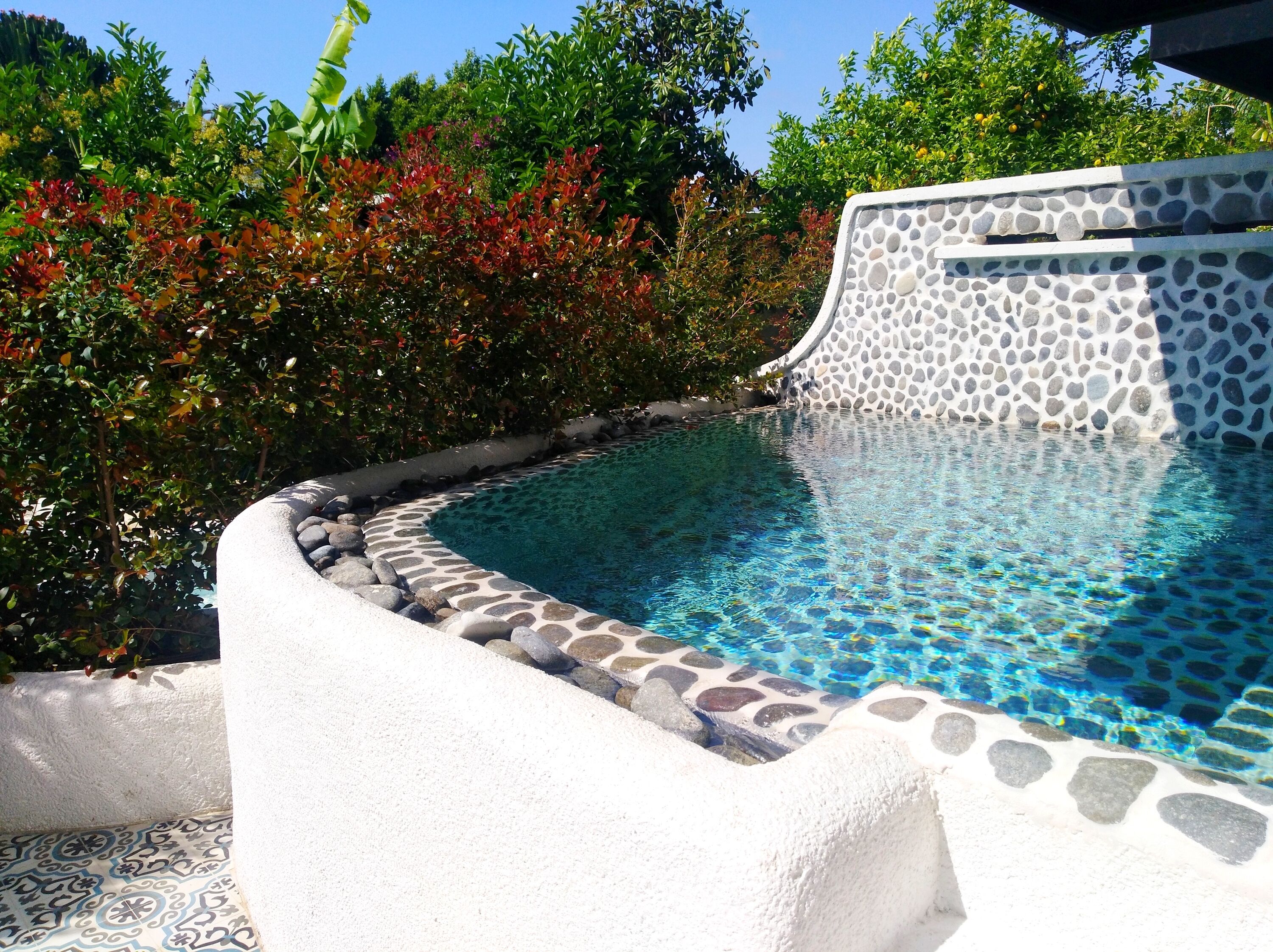 A swimming pool with a pebble-lined edge, surrounded by lush greenery and a white wall with a stone pattern.
