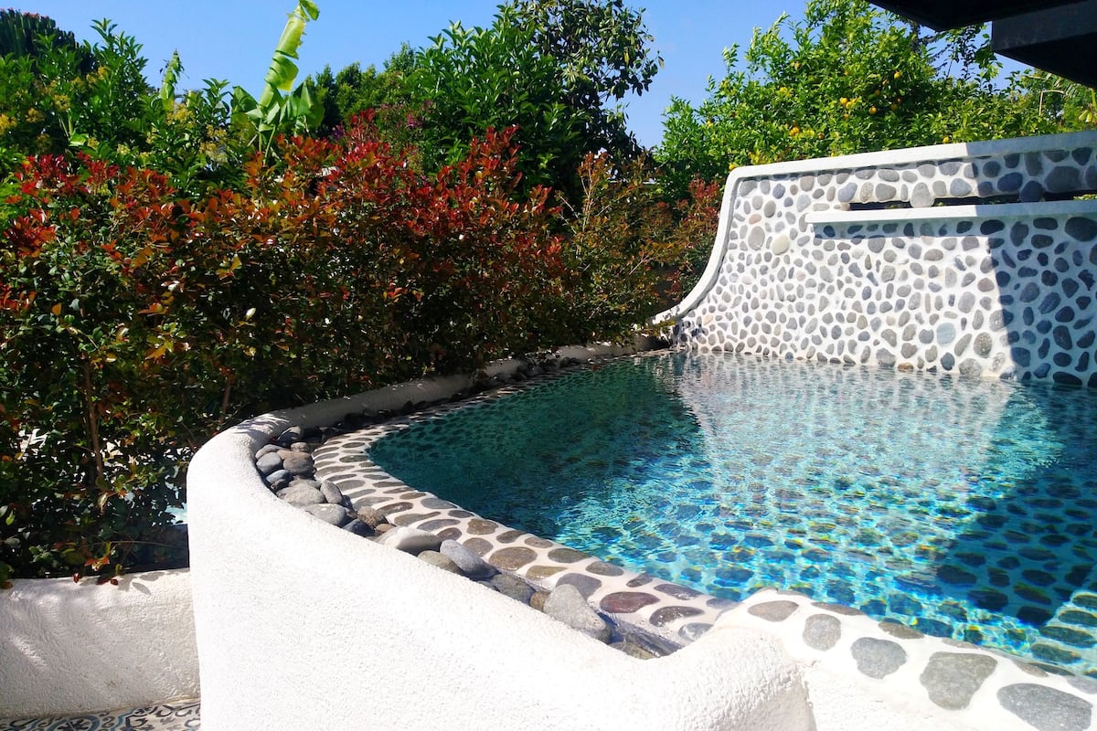 A swimming pool with a pebble-lined edge, surrounded by lush greenery and a white wall with a stone pattern.
