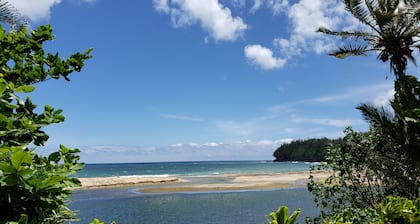 Vues sur le front de mer * 3 maßtres avec bains * Tous rénovés * Des plages fabuleuses!