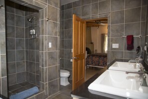 Hair dryer, towels, soap, shampoo - Contemporary Casa w/courtyard, 10 min. stroll to Canyon Road & historic Santa Fe (Santa Fe)
