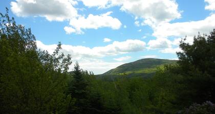 RYAN'S ACADIA CARRIAGE HOUSE - 2 1/2 mi. from town, 1 mi. to Eagle Lake!