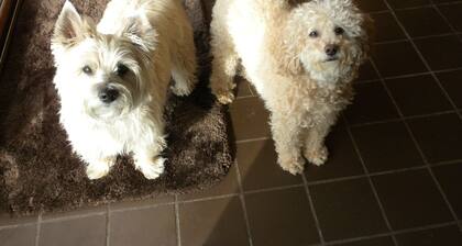 RYAN'S ACADIA CARRIAGE HOUSE - 2 1/2 mi. from town, 1 mi. to Eagle Lake!