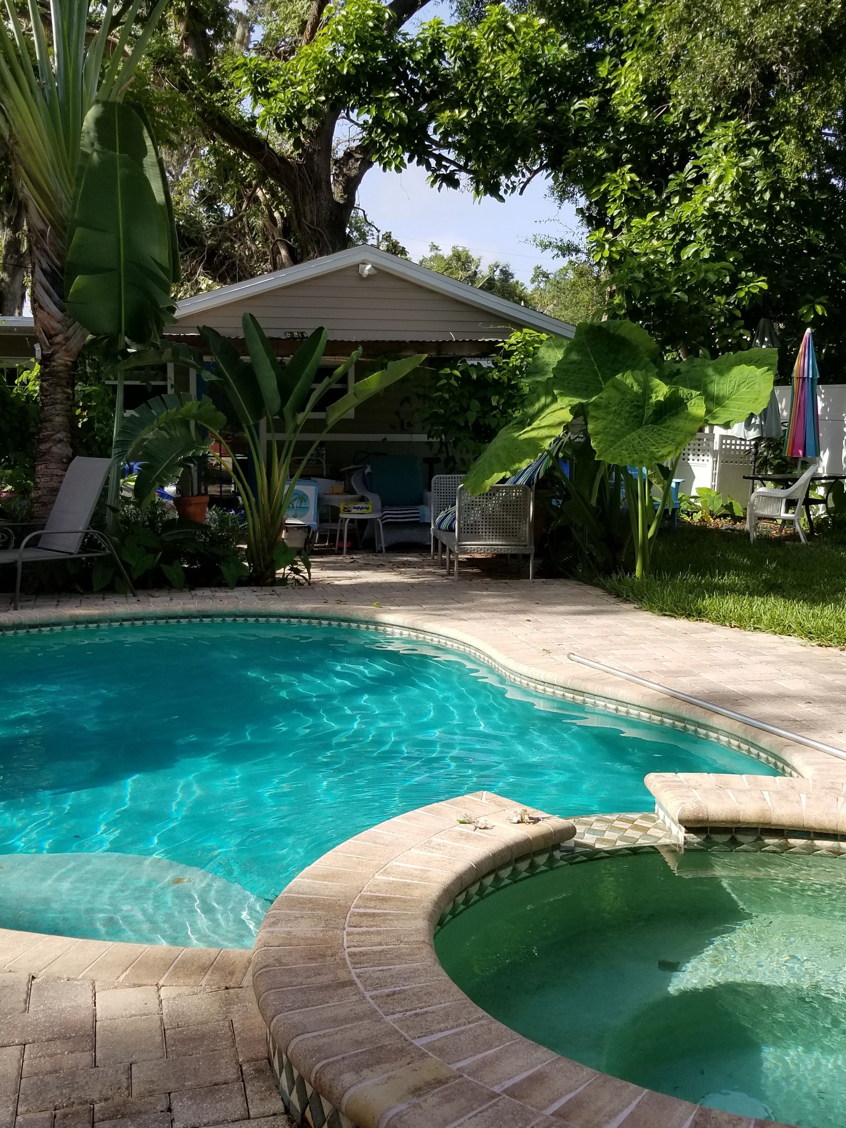 🌴 YIPPEE! GREAT LOWER  RATE 30% off for Feb, March, April and May 2024
