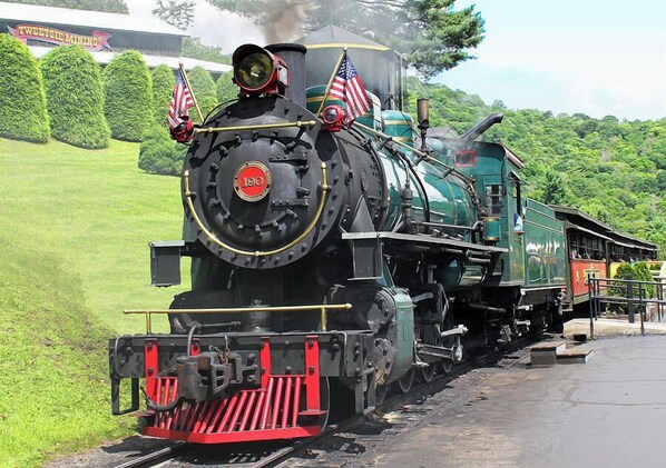 Une locomotive à vapeur ornée de drapeaux américains, une pancarte indiquant « TWEETSIE MINING », et une végétation luxuriante en arrière-plan.