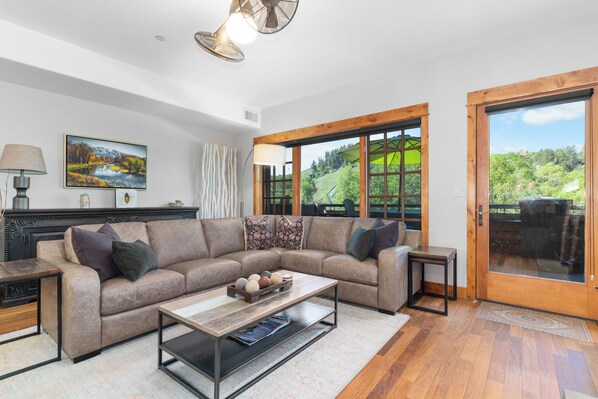 Smart TV, chimenea, reproductor de DVD y libros