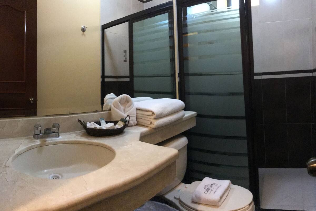 shower, free toiletries, hair dryer, towels