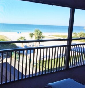 A balcony with a view of the beach, a grassy area, and a palm tree. - Buttonwood 447- 3 bedroom 2 bath condo with fantastic view of gulf (Siesta Key)