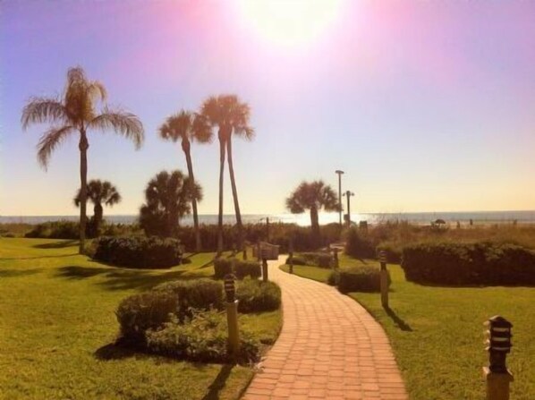 A paved pathway leading through a landscaped area with palm trees and a view of the ocean. - Buttonwood 447- 3 bedroom 2 bath condo with fantastic view of gulf (Siesta Key)