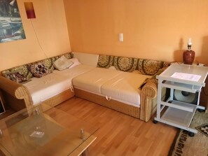 TV, DVD player, music library, stereo