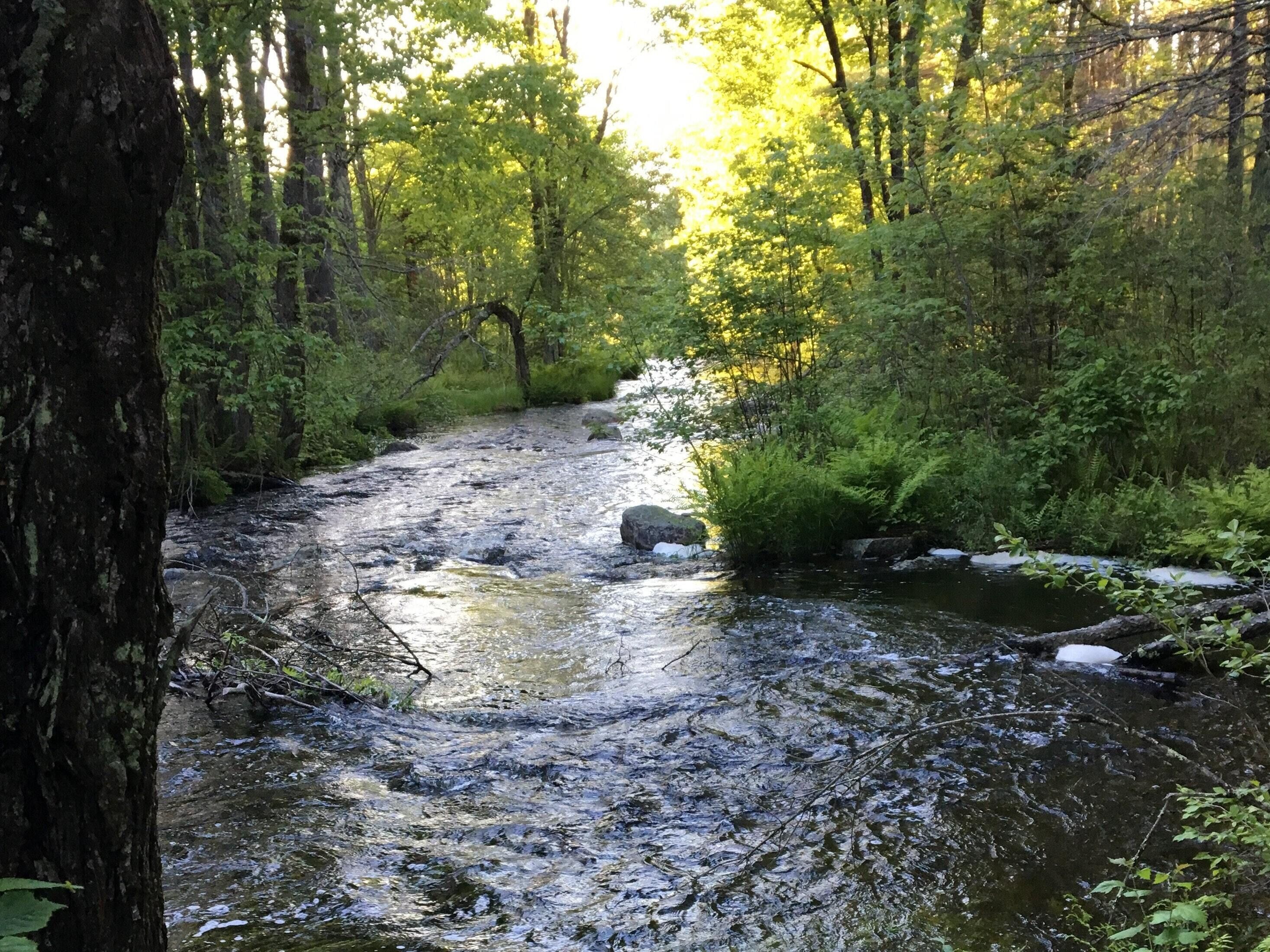 Tentrr Signature Site - Crooked Run Farm