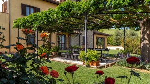 A garden with roses, a pergola, and a patio area with chairs and tables. - Villa ' Pian del Rocchio ' - Beautiful Country House in a lush Umbria plateau (San Venanzo (TR))