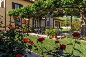 Terrein van de accommodatie