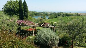 A vineyard with a wooden trellis structure amidst lush greenery and flowering plants. - Villa ' Pian del Rocchio ' - Beautiful Country House in a lush Umbria plateau (San Venanzo (TR))