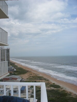 Property grounds - Beautiful Beachside Condo in Ormond-by-the-Sea (Ormond Beach)