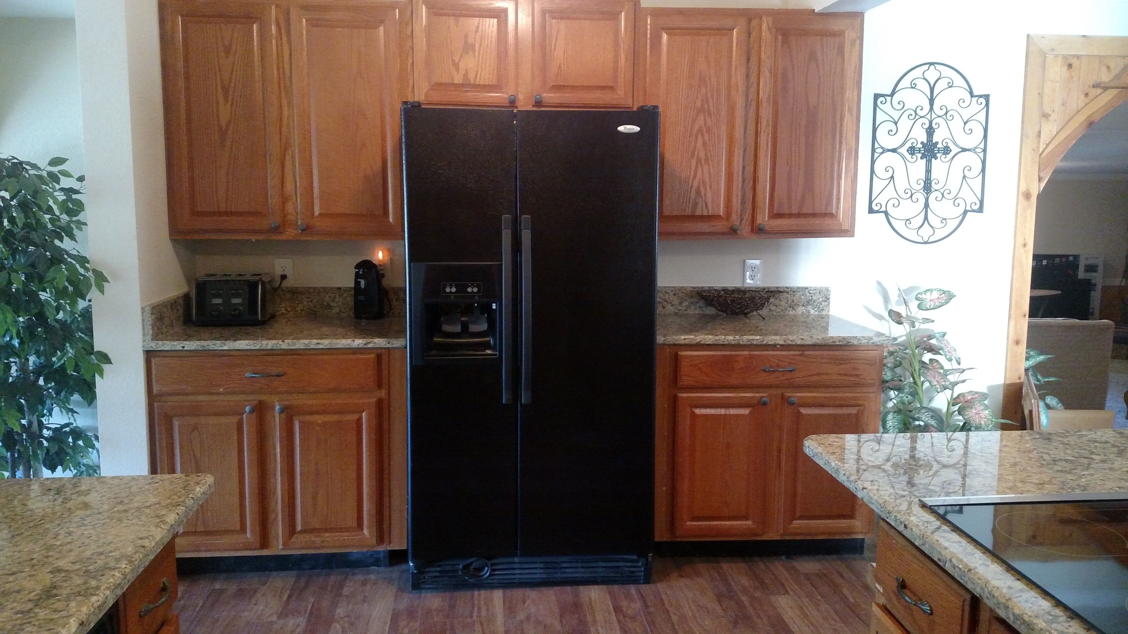 Fish The San Juan River Quality Waters at Navajo Dam  