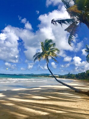 Plage, chaises longues, serviettes de plage