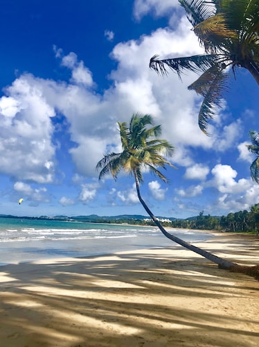 Best Spot in Puerto Rico at Rio Mar Beach  & Golf Resort 20 min. to San Juan