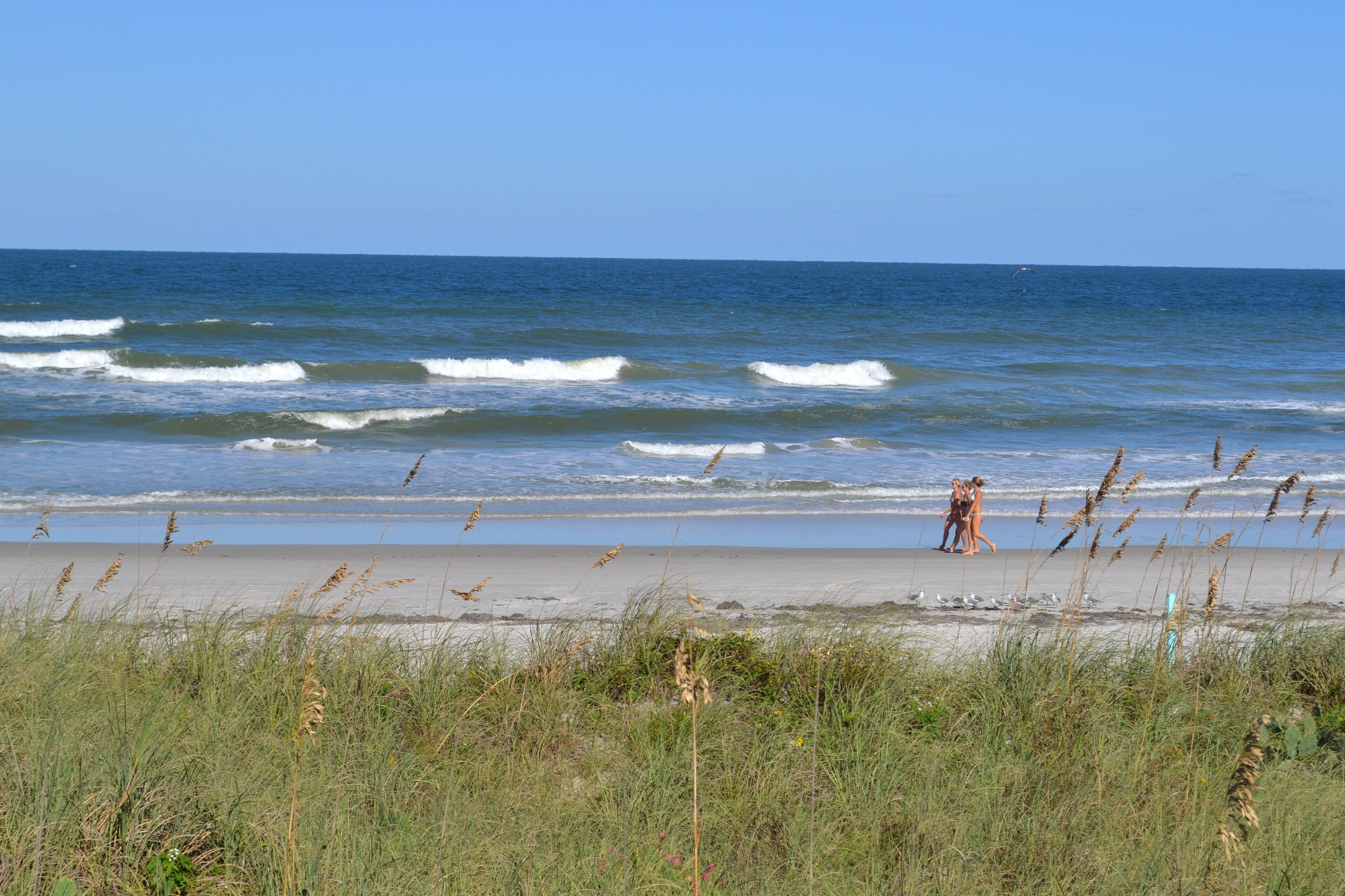 Direct OCEAN FRONT, Super Clean, GREAT REVIEWS, Cozy & Neighborly
