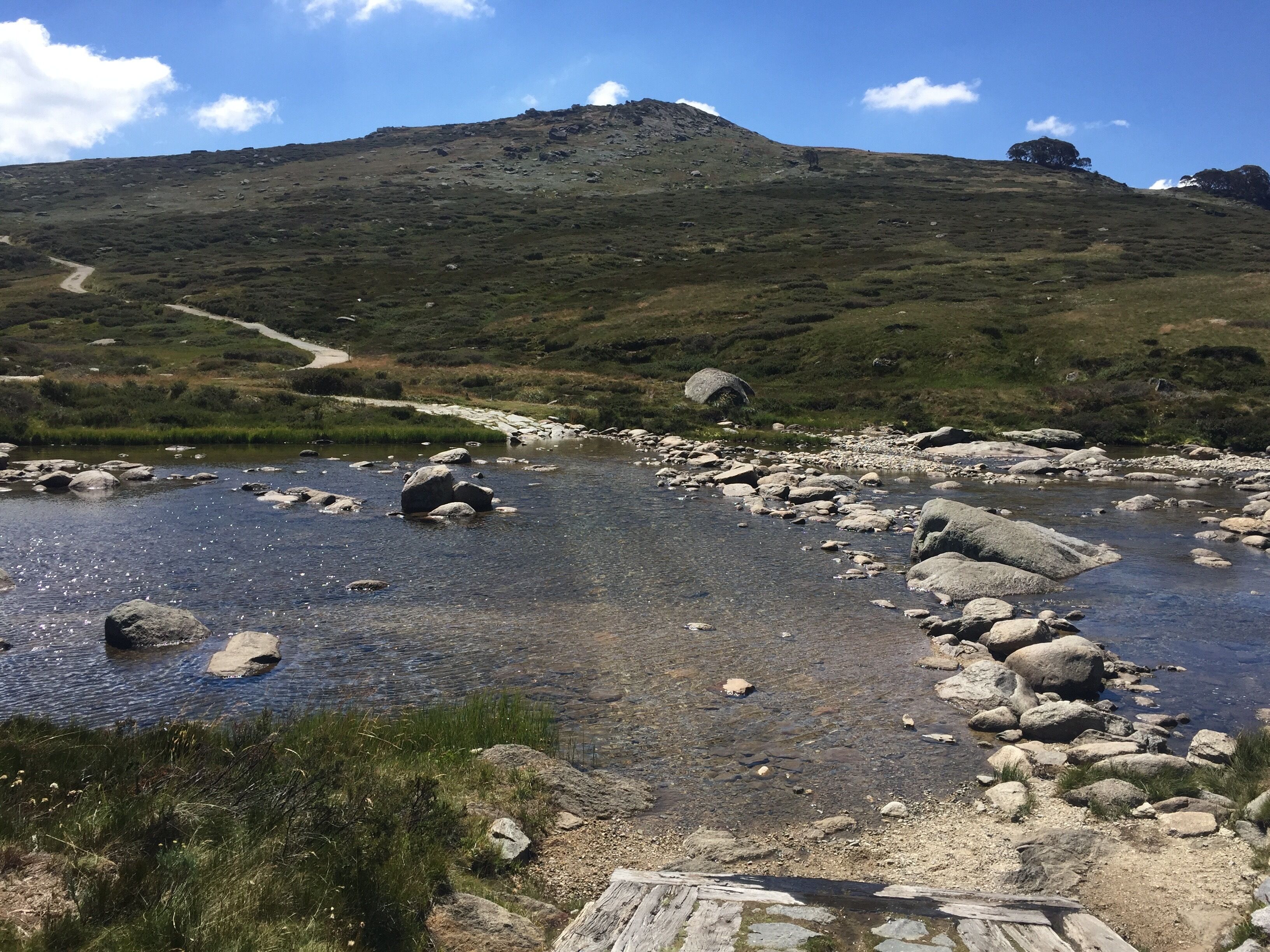 Driftwood by the Snow — image 6