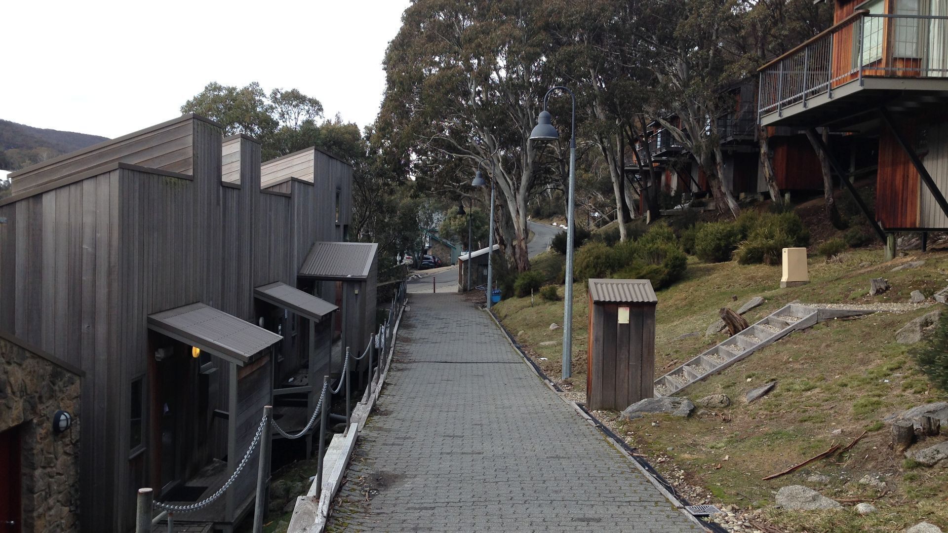 Driftwood by the Snow — image 21