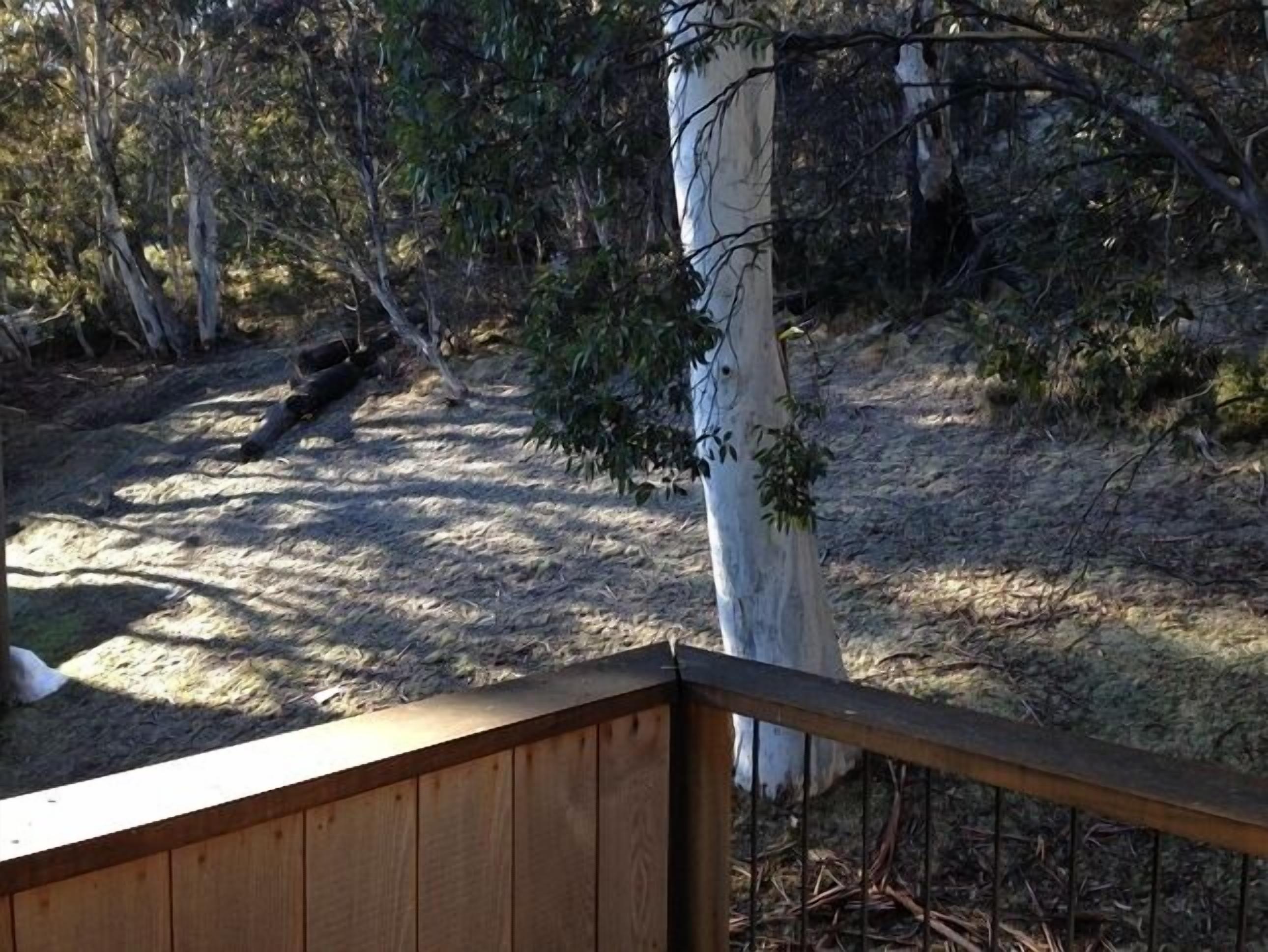 Driftwood by the Snow — image 17