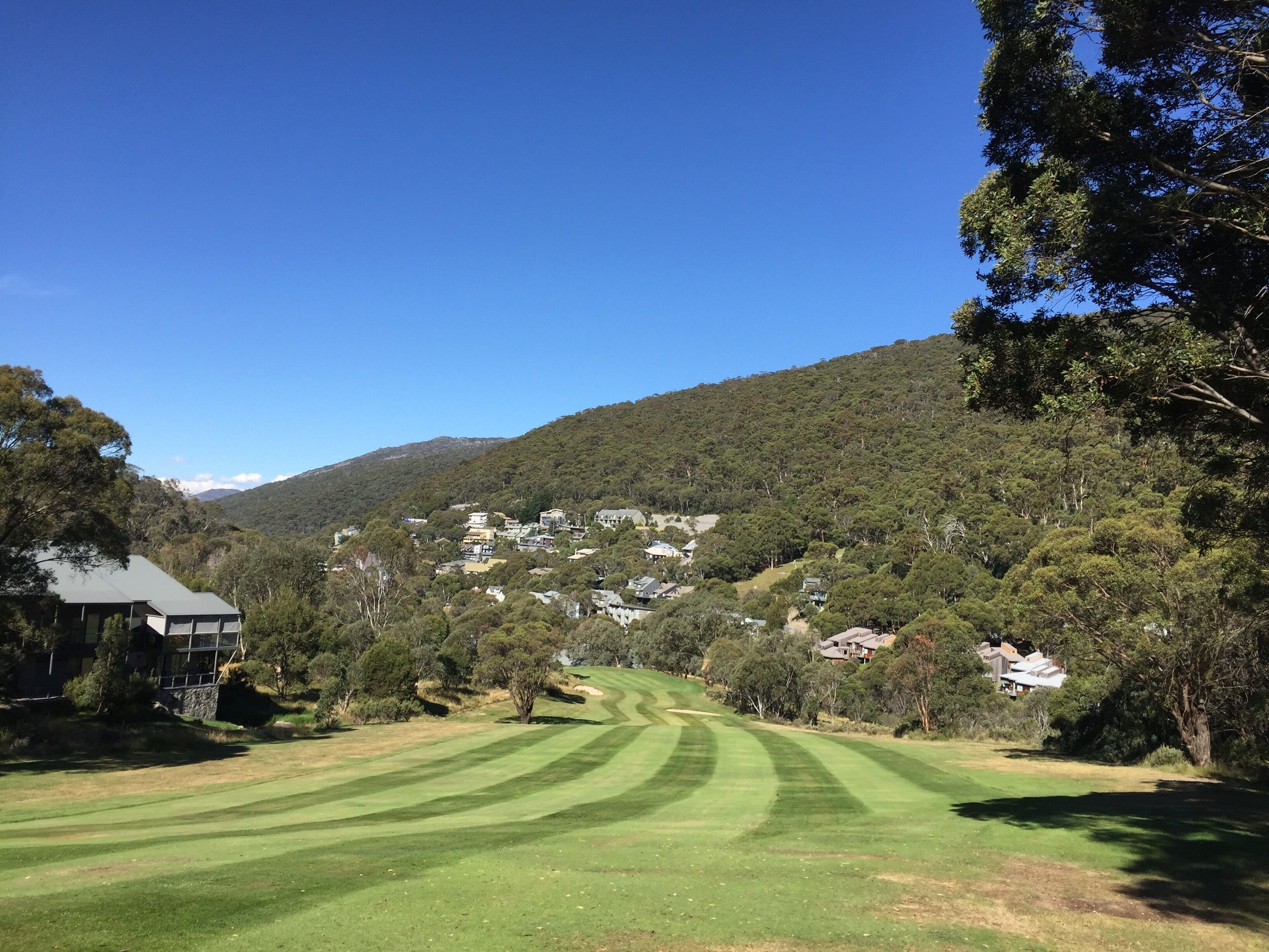 Driftwood by the Snow — image 28