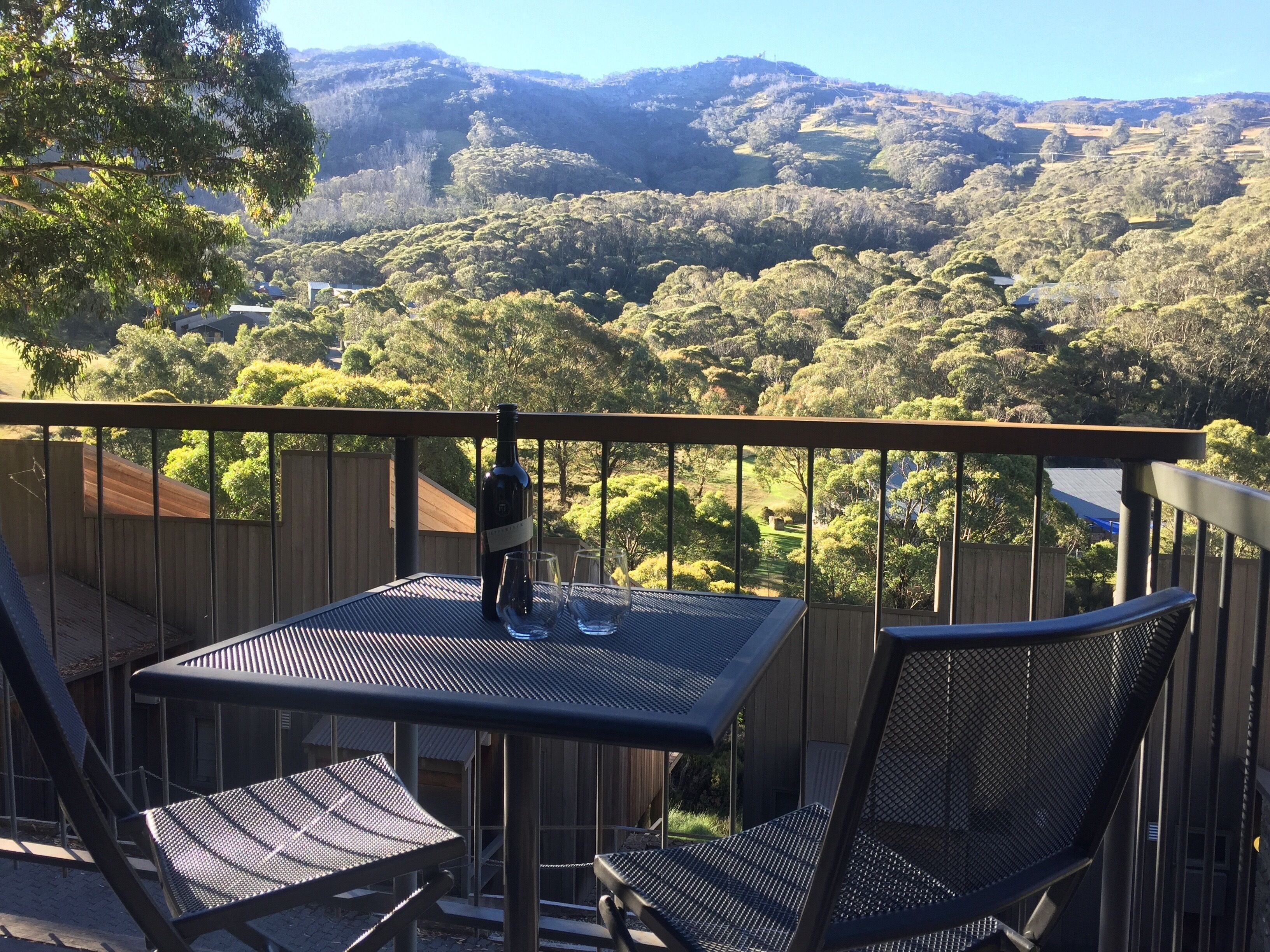 Driftwood by the Snow