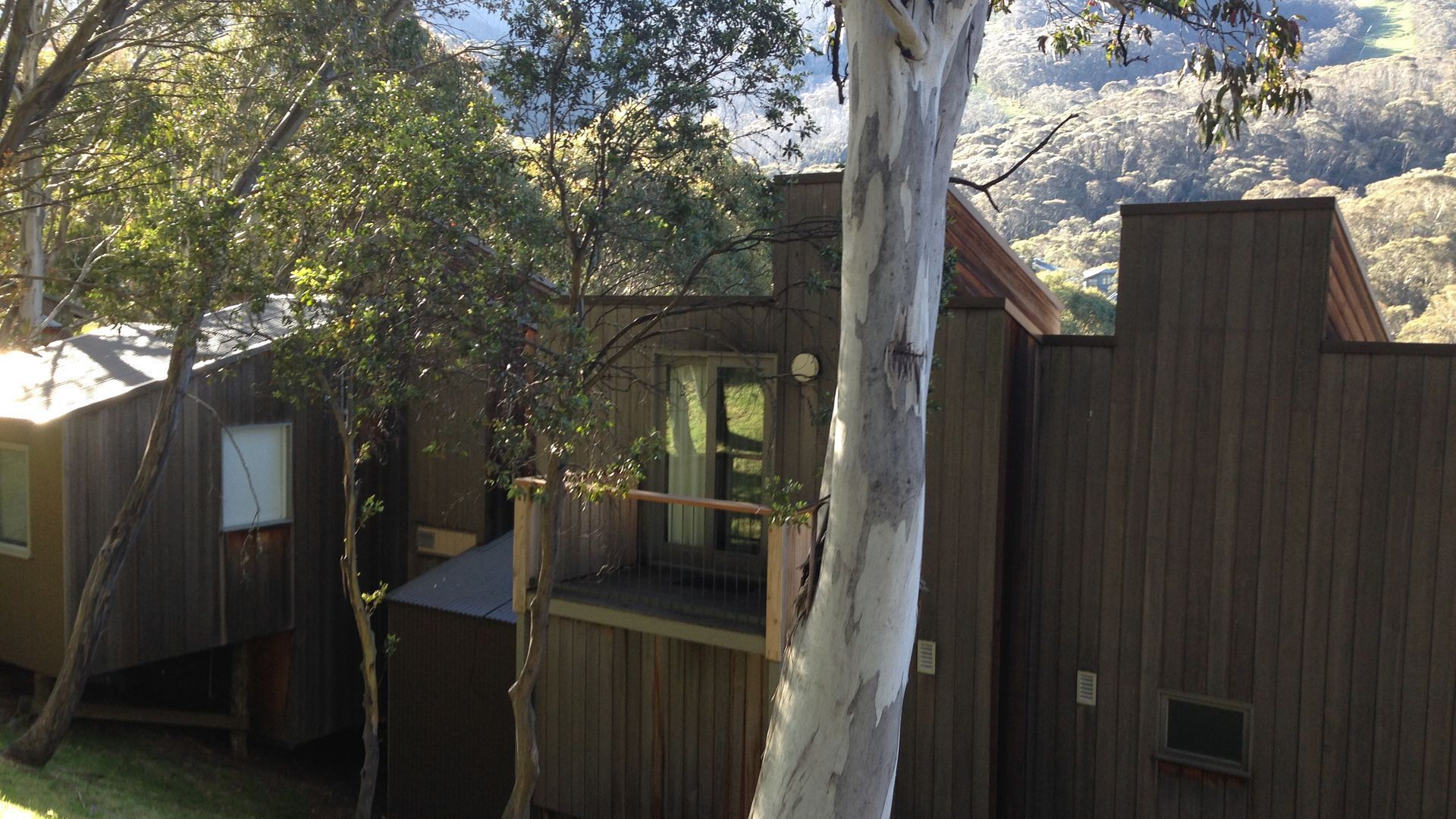 Driftwood by the Snow — image 5