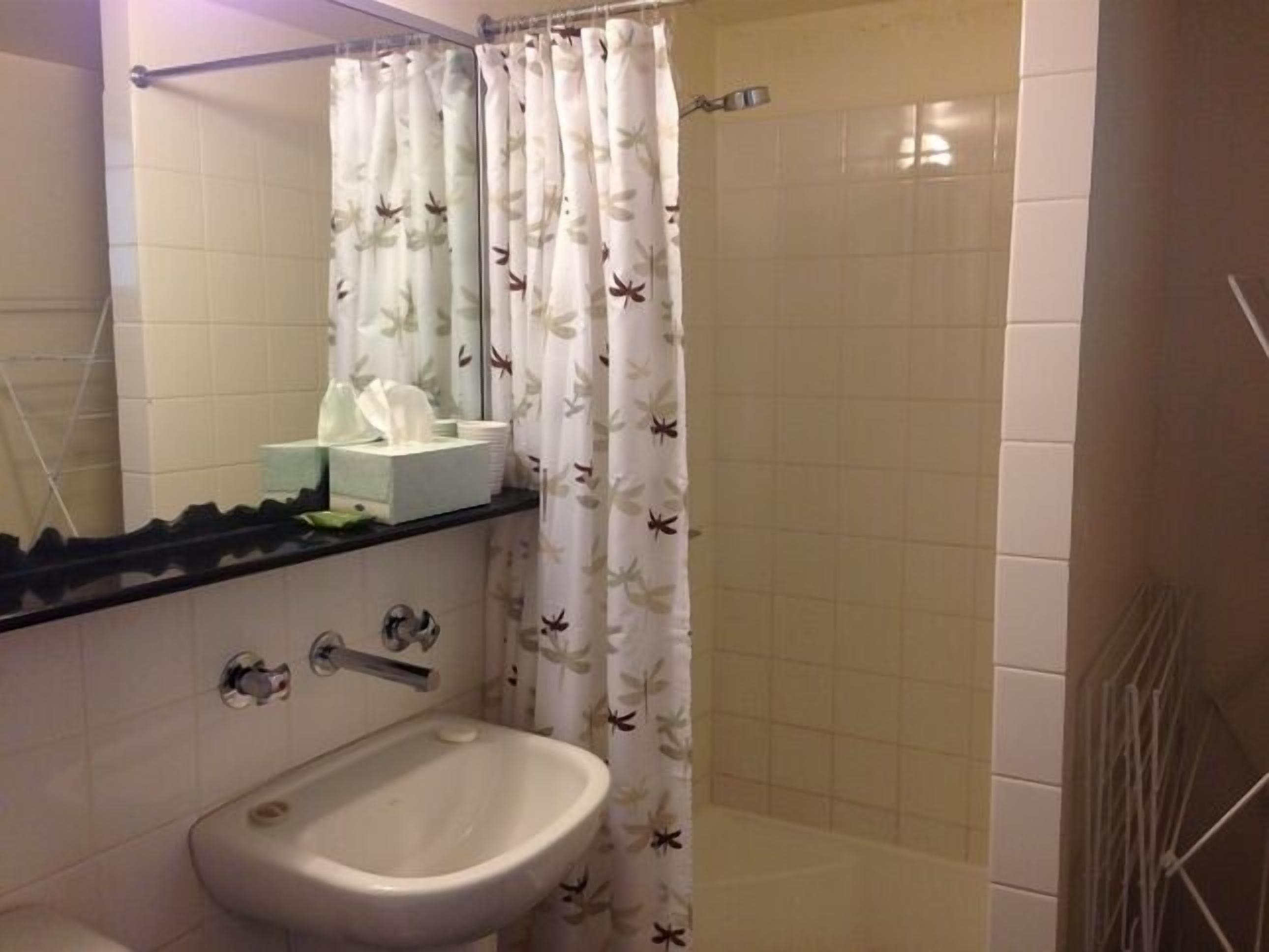 Driftwood by the Snow — image 18