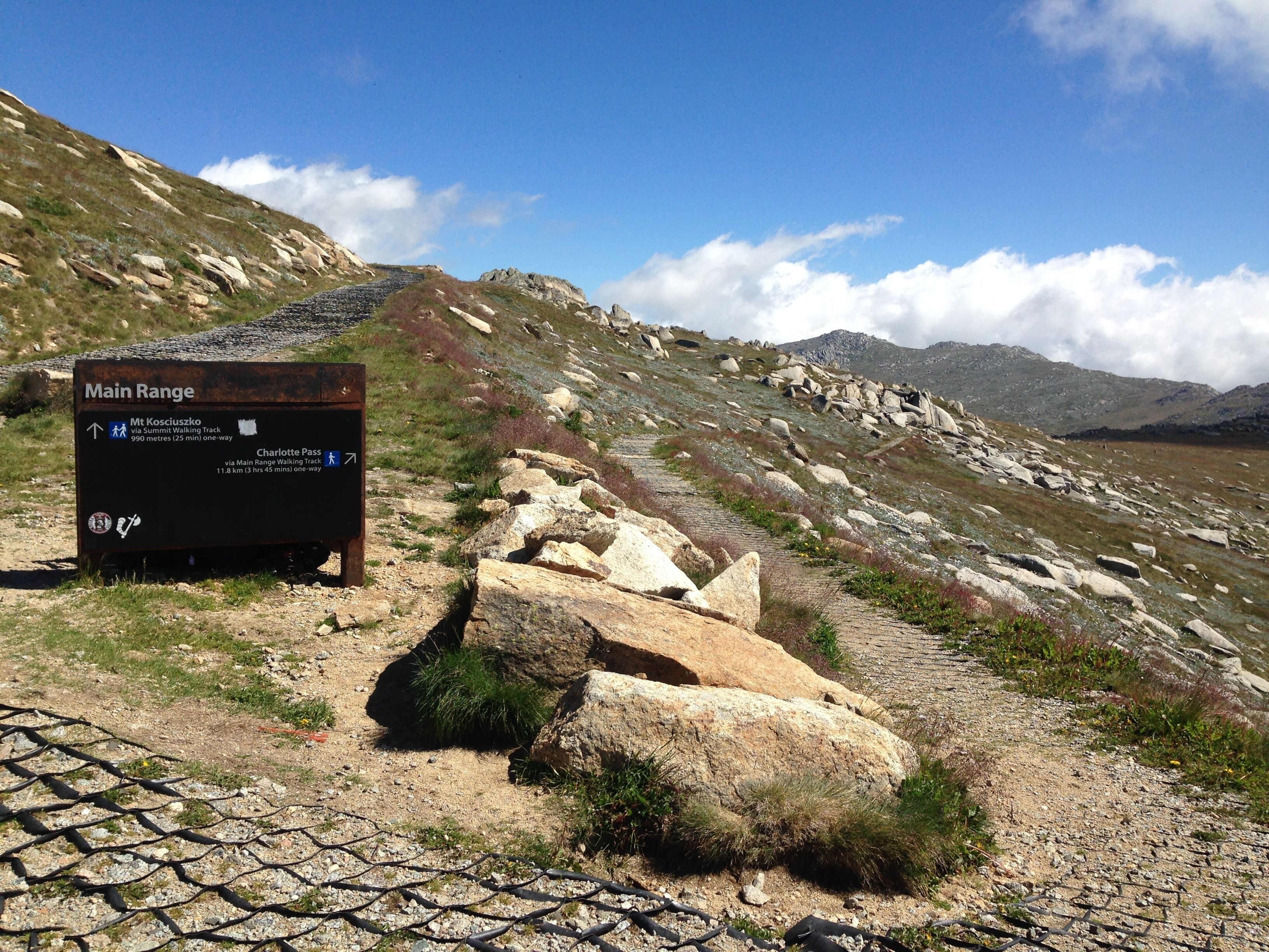 Driftwood by the Snow — image 27