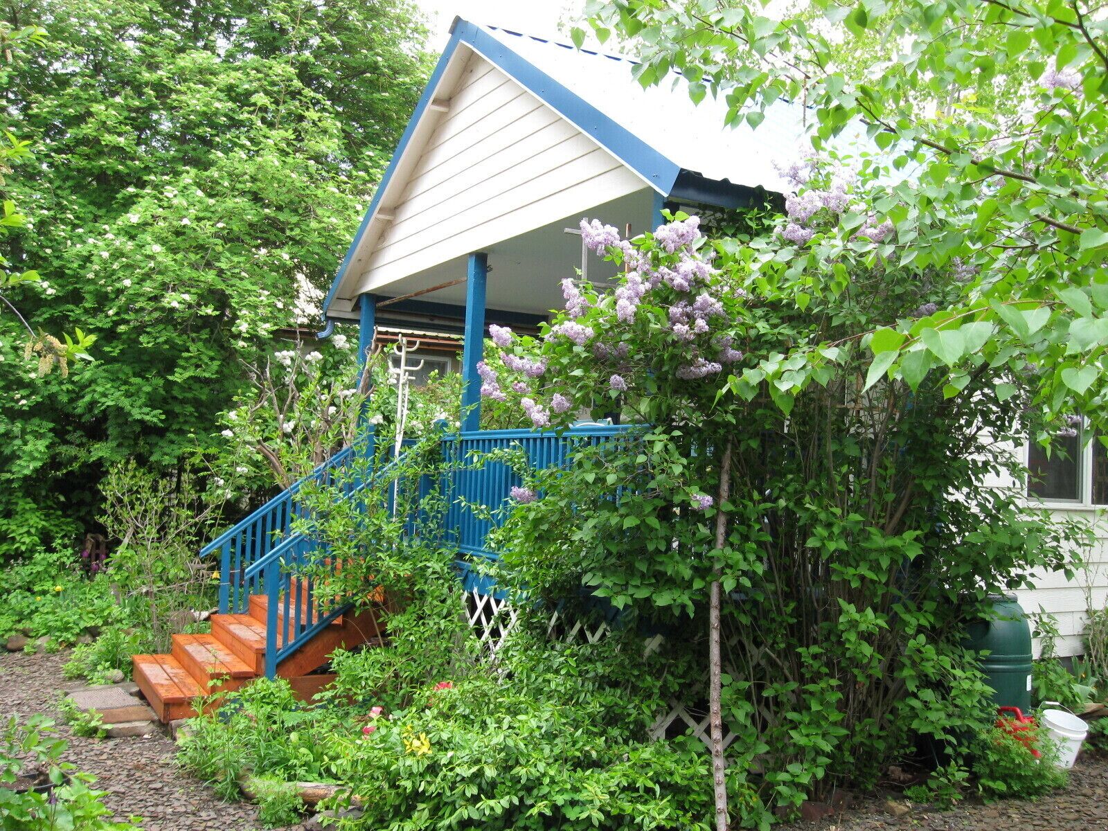 The Hollyhock Guest House - A  peaceful sanctuary !