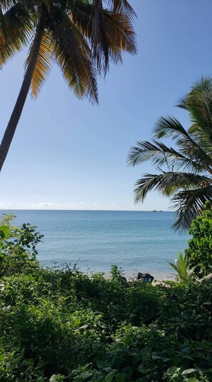 A beach with palm trees and dense greenery in the foreground. - BACK TO BUSINESS
Golf Cart,Swimming Pool, generator & Breathless Scenic Views! (Humacao)