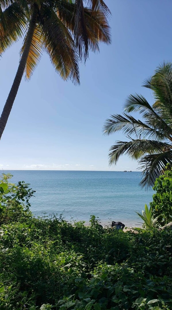 Beach nearby, sun loungers, beach towels