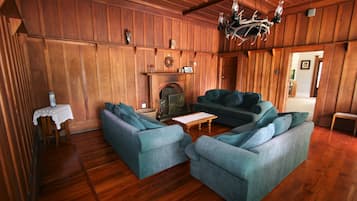 Televisión, chimenea, reproductor de DVD y estéreo