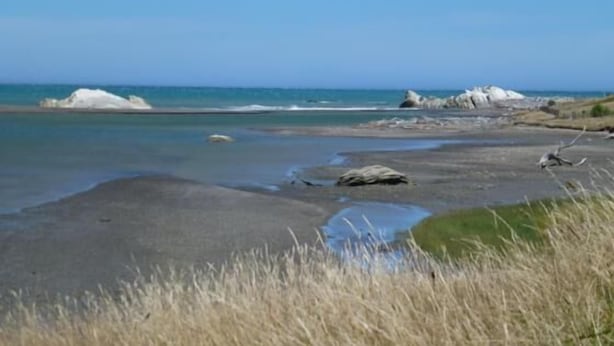 A beach with clear water, rocks, and grassy areas.
