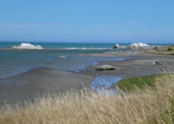 Beach - Aotea Homestead (Hinakura)