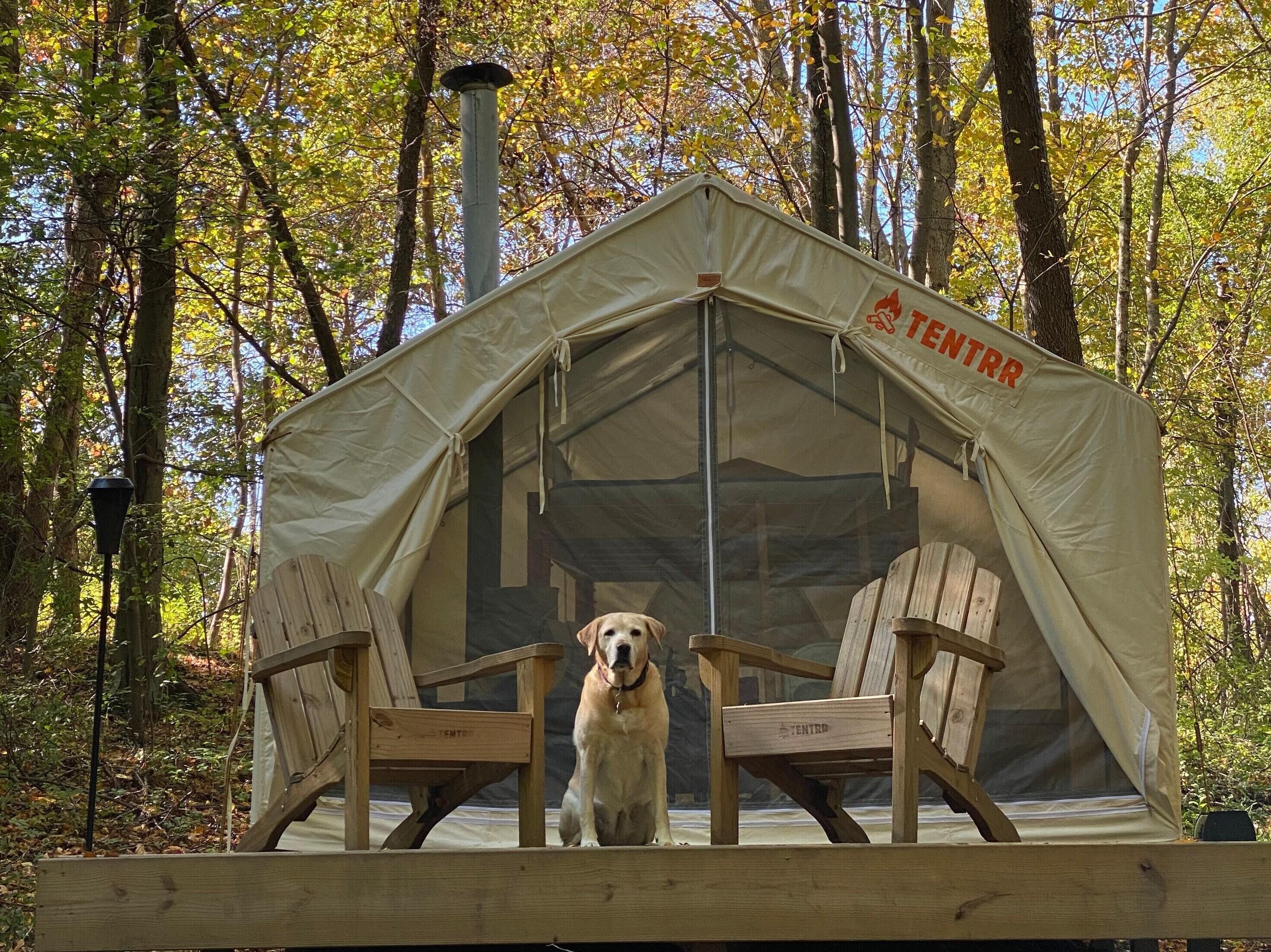 Tentrr Signature Site - Holmestead Woods in Poughkeepsie, United States
