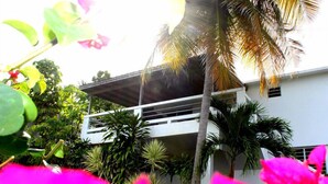 A modern two-story building with a flat roof and large windows. - Sea Breeze - FABULOUS NORTH SHORE (Vieques)