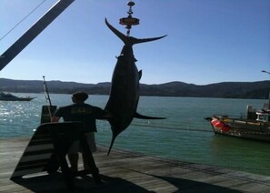 Fitness facility - Bach in Whangaroa Heaven (Whangaroa)