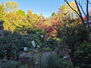 Property grounds - Evenstar Cottage-Idyllic Mountain getaway (Blackheath)