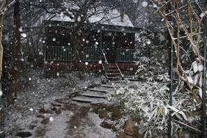 Property grounds - Evenstar Cottage-Idyllic Mountain getaway (Blackheath)