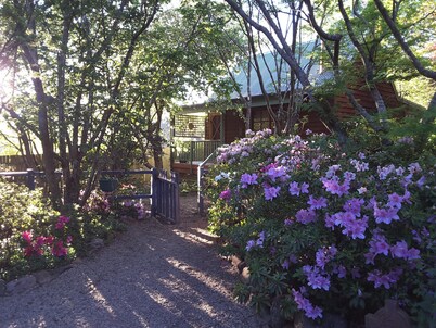 Evenstar Cottage-Idyllic Mountain getaway