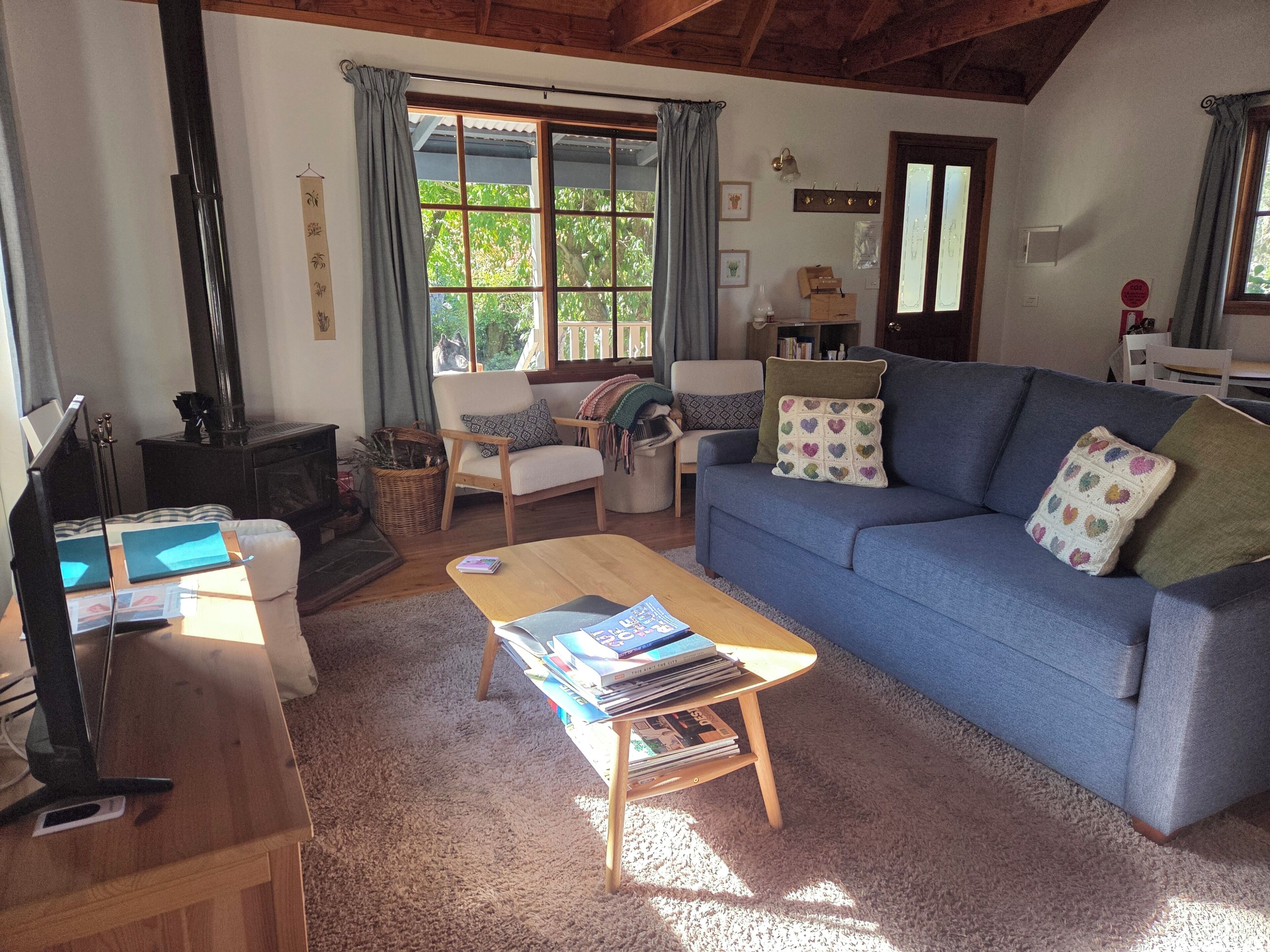 TV, fireplace, DVD player, video library