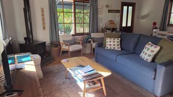 TV, fireplace, DVD player, video library