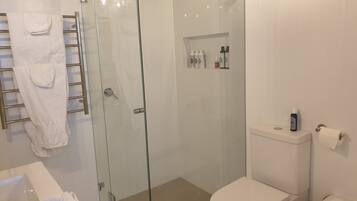 Combined shower/bathtub, jetted bath, hair dryer, towels