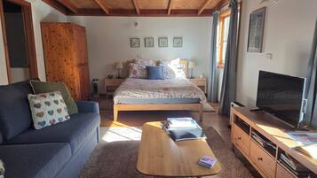 TV, caminetto, lettore DVD, videoteca