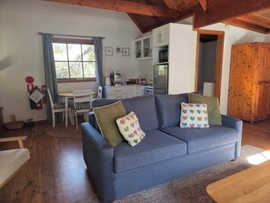 TV, fireplace, DVD player, video library