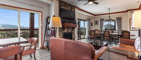 TV, fireplace, video games, DVD player